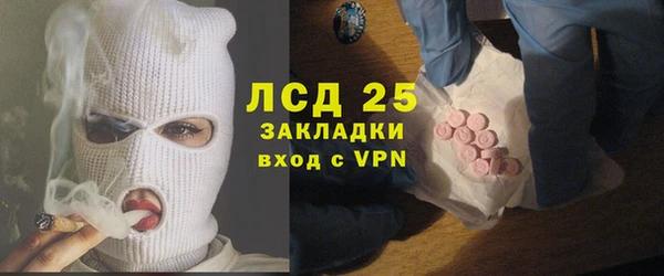 спиды Богородицк