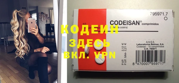 спиды Богородицк