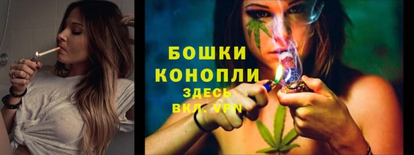 спиды Богородицк