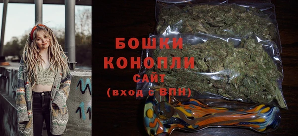 спиды Богородицк