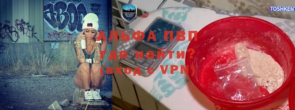 спиды Богородицк