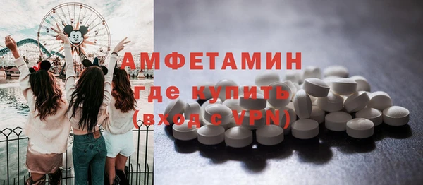 спиды Богородицк