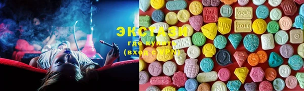 спиды Богородицк