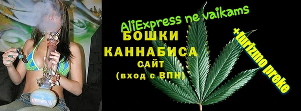 спиды Богородицк