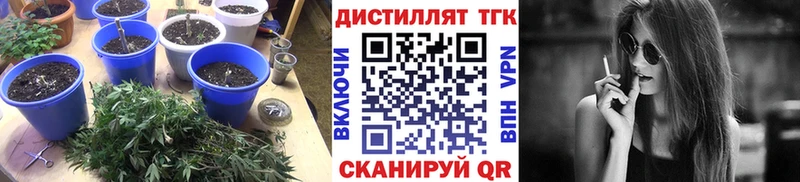ТГК жижа дарк нет как зайти Нестеров