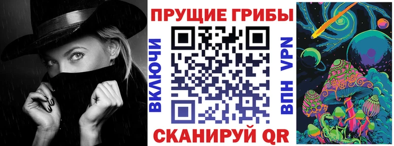 цена   Нестеров  Галлюциногенные грибы мухоморы 